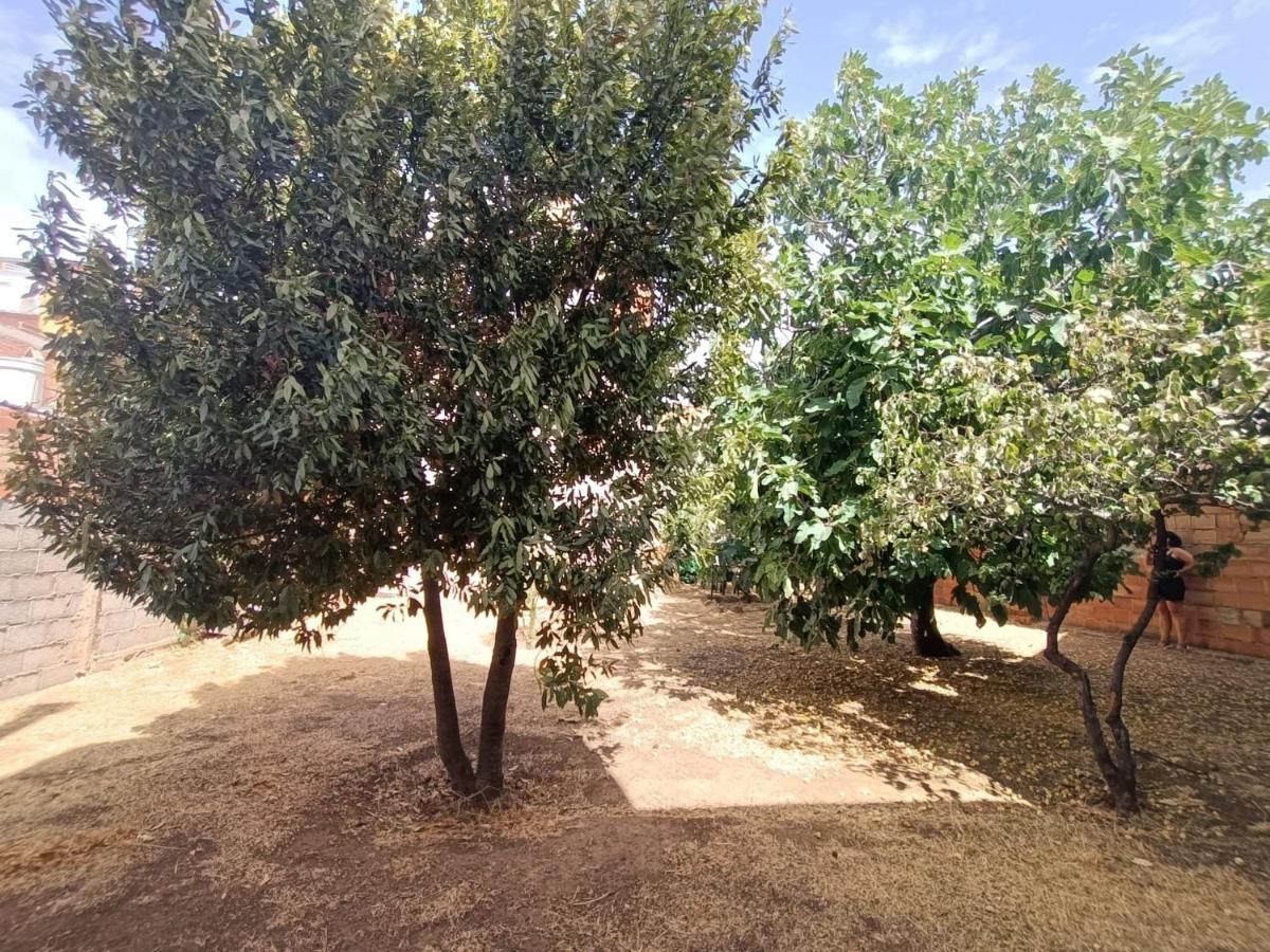 Vivienda Rural Los Iberos M&M, Castellar de Santisteban 外观 照片
